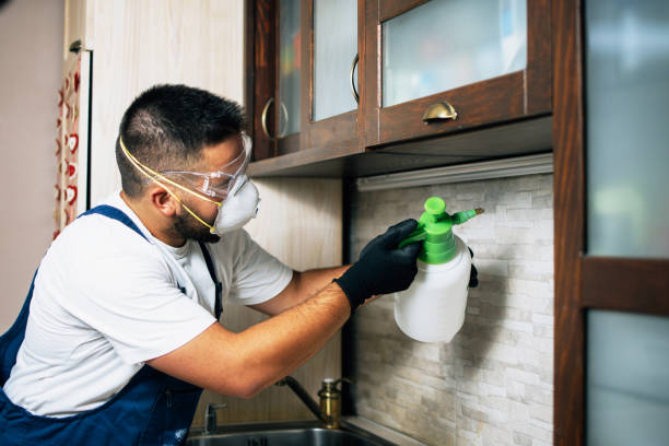 Best Mosquito Control Services  in Denver, PA