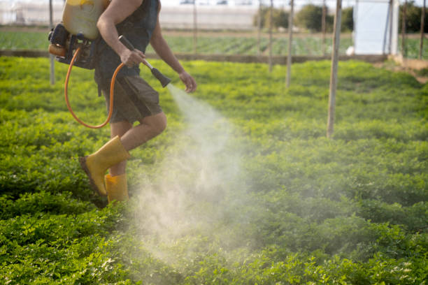 Reliable Denver, PA Pest Control Solutions