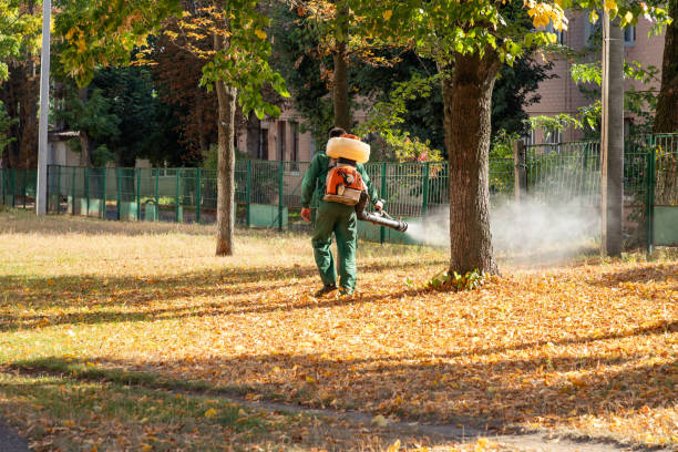 Best Commercial Pest Control Services  in Denver, PA