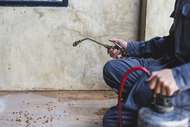 Best Residential Pest Control  in Denver, PA